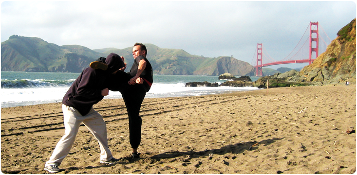 hook-kick